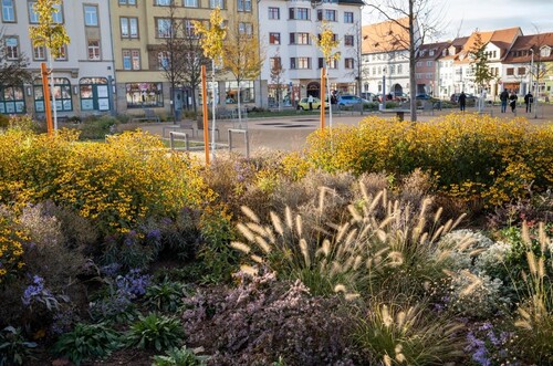 Erfurt Hirschgarten (1) Erfurt Hirschgarten (1)